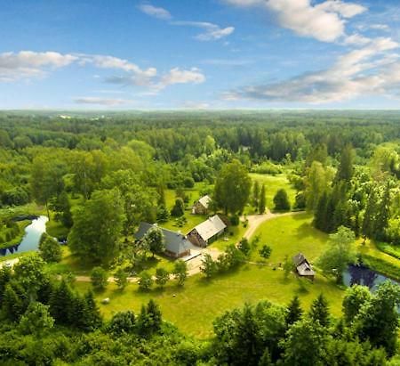 Truu Holiday Houses Ivaste Zewnętrze zdjęcie